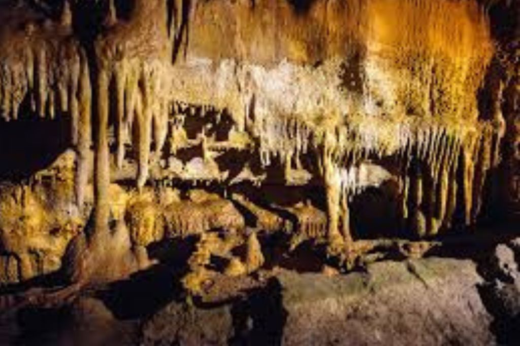 Mammoth Cave National Park Camping
