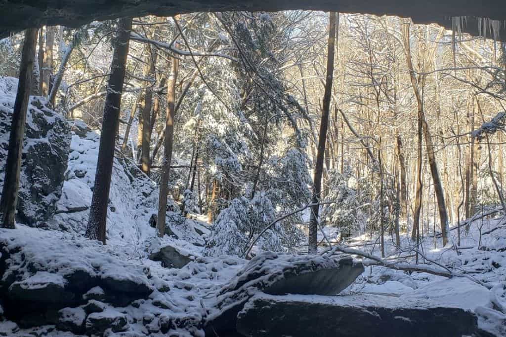 When you know what states allow you to live in an RV you'll be able to plan where to go for winter months when you want to avoid snow! 