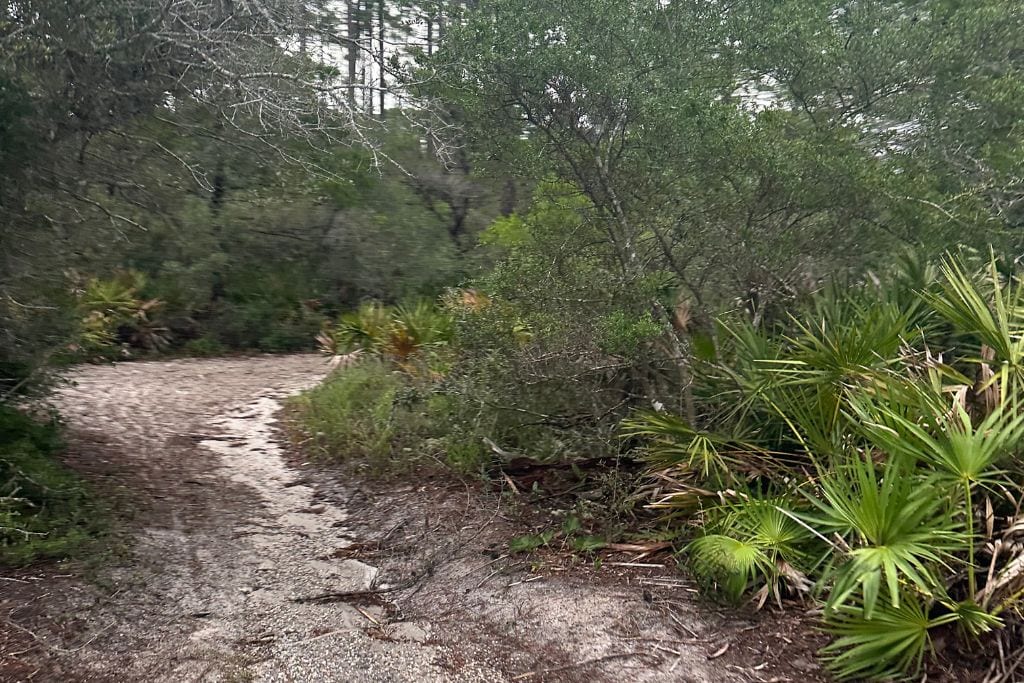 Topsail Hill Preserve State Park Campground Review: There are lots of opportunities to hike at Topsail. 