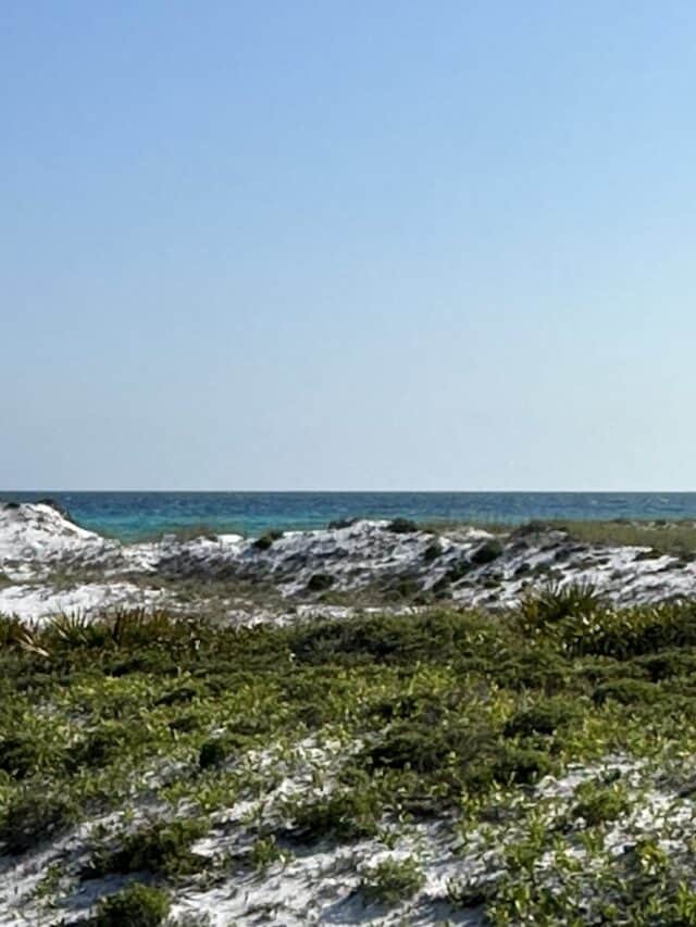 Topsail Hill Preserve State Park