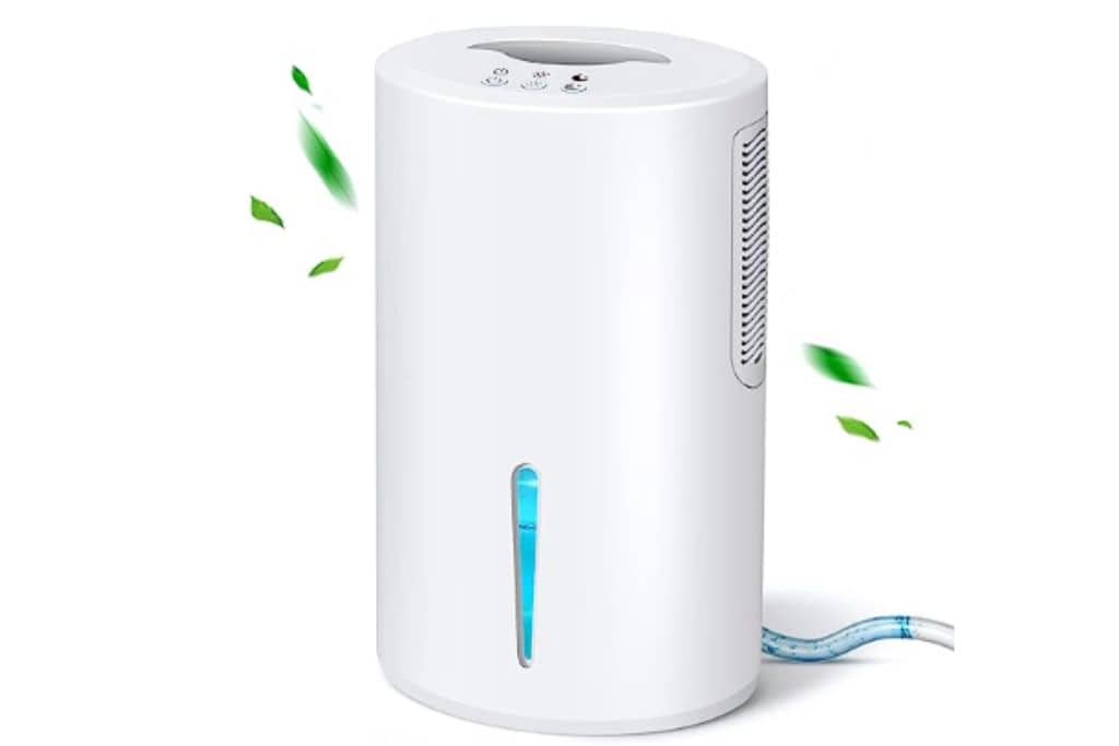 Dehumidifier for full-time RV living in winter.
