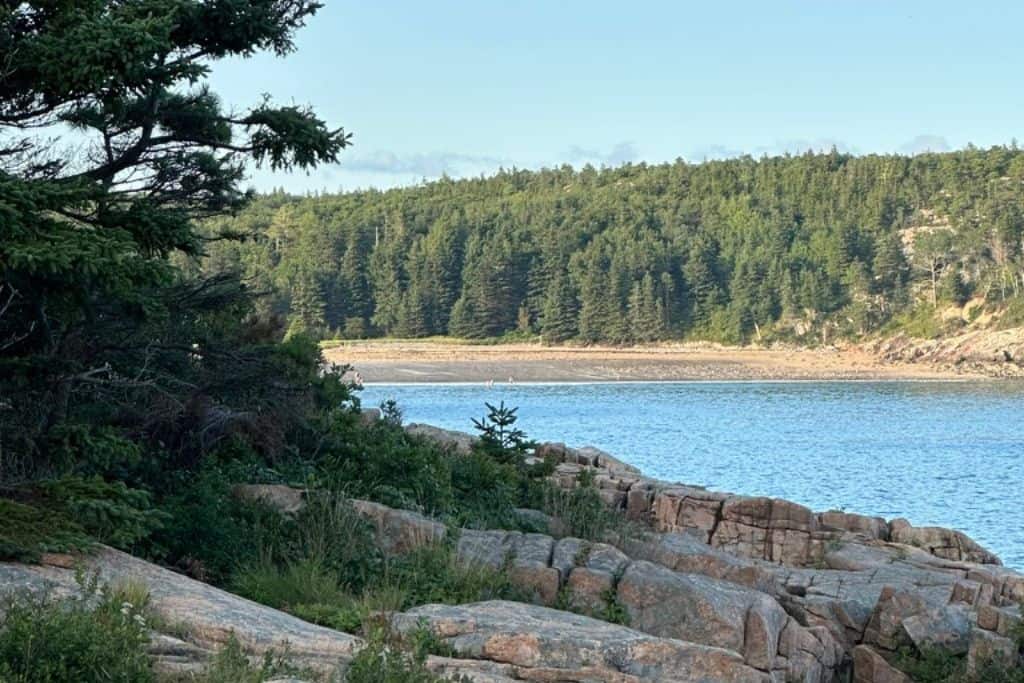 A peaceful coastal view with rocky shores and lush greenery, including evergreen trees that stretch down to the water's edge. The calm blue water contrasts with the rugged rocks in the foreground, while a forested hill dominates the background. The area has a remote and serene feel, capturing the beauty of nature.