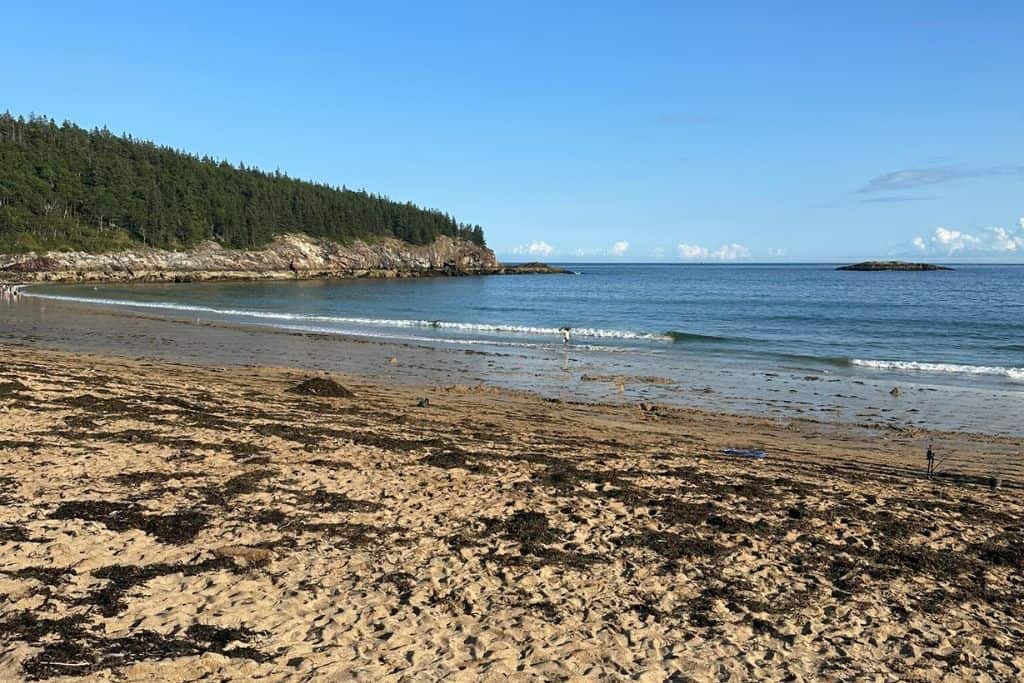 This image shows Sand Beach in Acadia National Park, with a sandy shoreline stretching towards the blue ocean. The beach is framed by rocky cliffs and dense green forest on the left, while small waves gently roll in. A few people are seen enjoying the calm water and the open, sunny sky. Seaweed is scattered along the sand, adding natural texture to the beach scene.