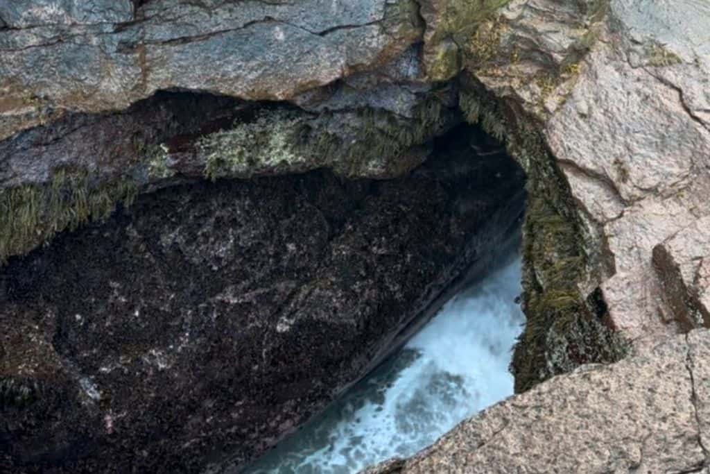 This image shows a close-up view of Thunder Hole in Acadia National Park, where ocean waves rush into a narrow rocky inlet. The surrounding rock walls are rugged and covered with seaweed, which clings to the edges. The churning water at the bottom of the opening creates a dramatic and powerful effect, especially when waves crash against the rocks, producing a thundering sound. The scene highlights the raw, natural beauty of this popular coastal feature.








