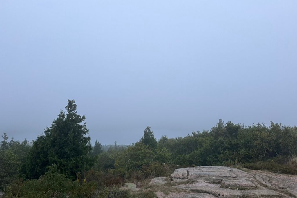 This image shows a misty and fog-covered scene in Acadia National Park, with dense foliage and rocky terrain in the foreground. The fog obscures the distant view, creating a soft, atmospheric effect that adds a sense of mystery to the landscape. The muted colors and hazy sky give a peaceful and serene vibe to the natural setting.