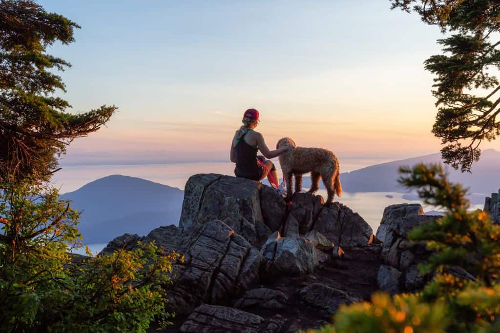 The image shows a peaceful moment at a mountain summit during sunrise or sunset. A person sits on a rocky outcrop, gazing at the view while petting their dog, who stands beside them. The scene overlooks a serene expanse of mountains and islands, with a warm gradient of orange and pink hues in the sky. Greenery frames the foreground, adding to the tranquil atmosphere.